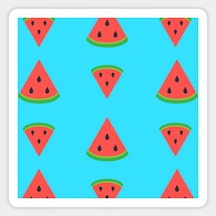 Watermelon Party Magnet